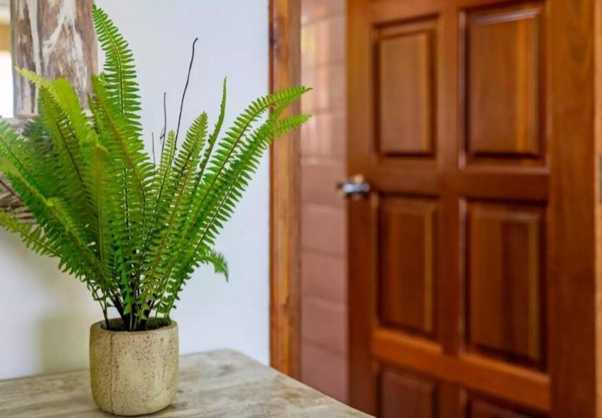 Auguste Holiday Residence Anse Etoile ภายนอก รูปภาพ